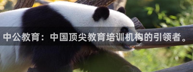 安信12娱乐招商探索空间