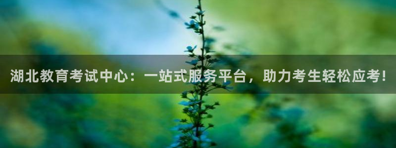 如何注销安信12软件