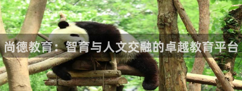 安信12娱乐代理