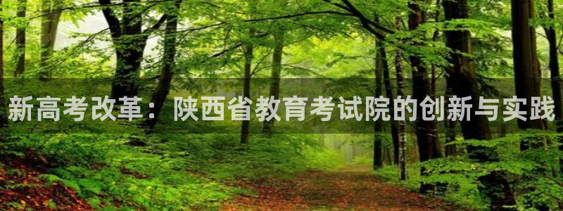 安信12是什么软件