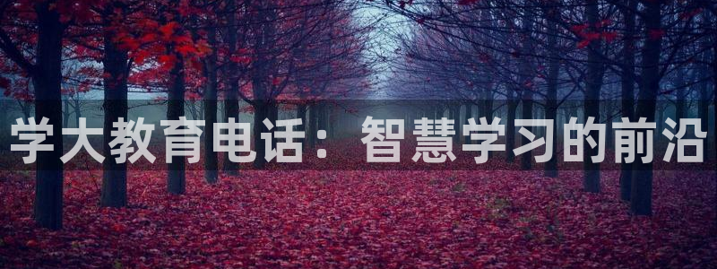 安信锐赢134号12月