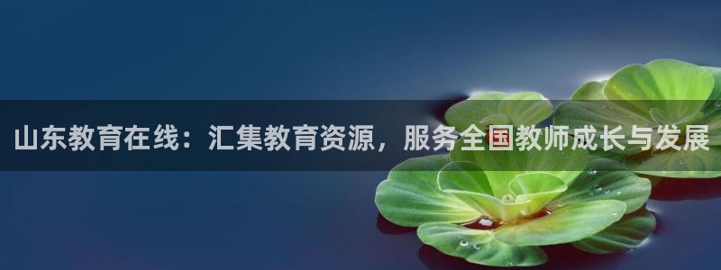 安信12软件介绍