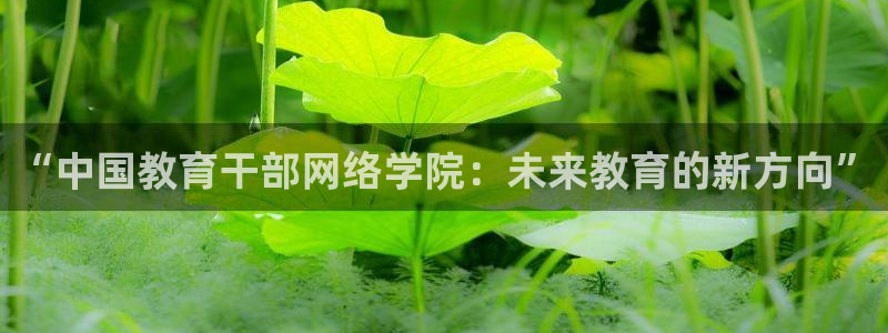 安信12平台可靠吗