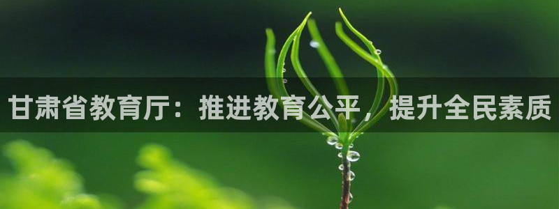 安信12娱乐主管