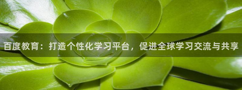 安信12彩票