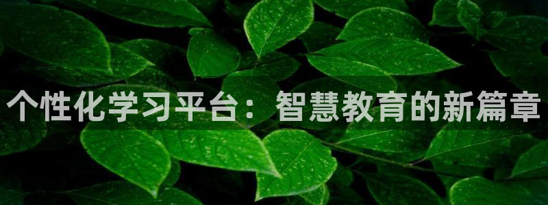 安信12周年庆典