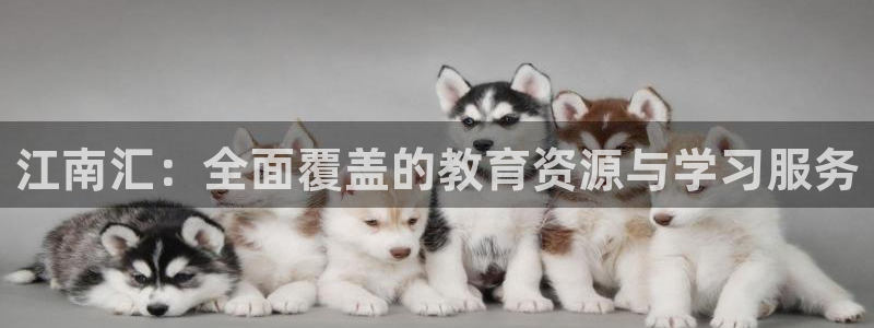 安信12是什么