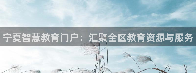 安信12是做什么