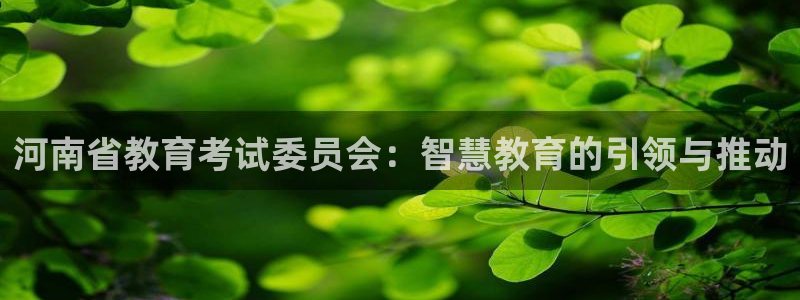 安信12官方网站查询