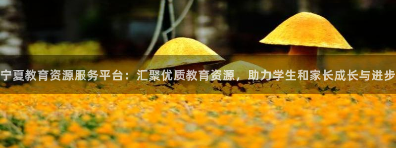 安信可12f