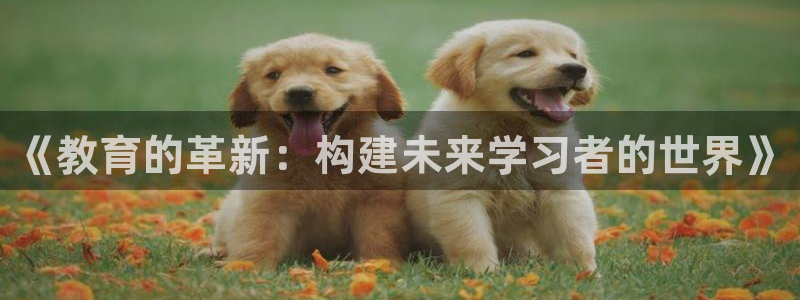 安信12真假