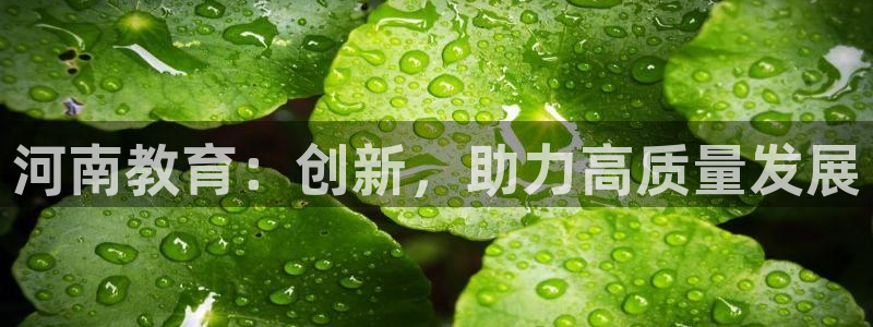 信安12乐打棒