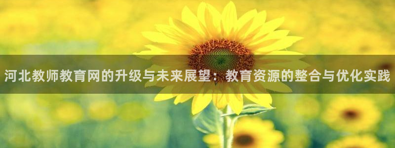 安信12是啥