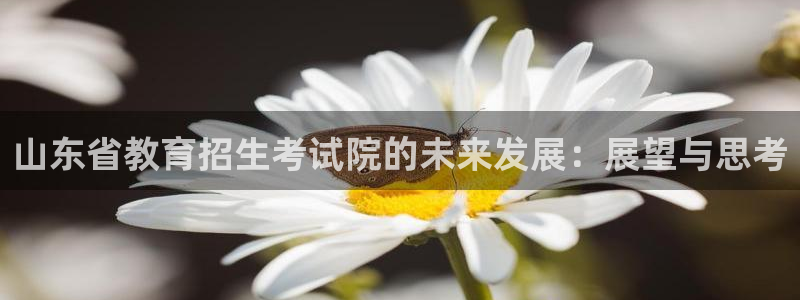 安立信12改装