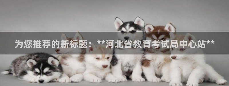 安信12彩票在线网址