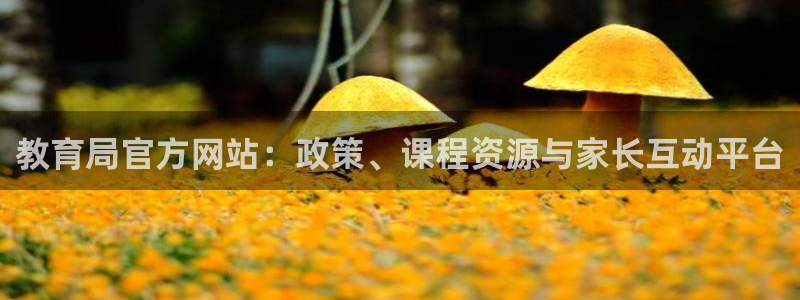 安信12如何开代理