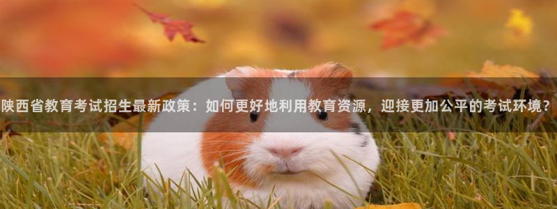 安信12正版下载